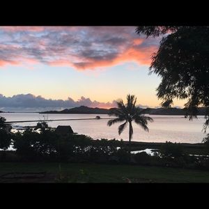 Meet your Posher, Shaunalei